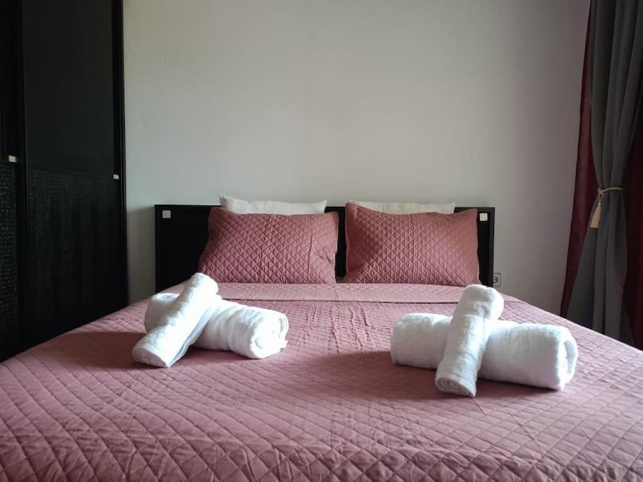 Layla Home Alexandrpoupolis Alexandroúpoli Eksteriør bilde